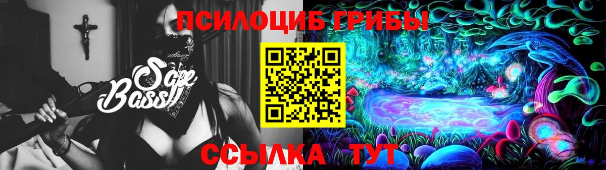 Галлюциногенные грибы Psilocybine cubensis  Вход с VPN  Псилоцибиновые грибы Psilocybine cubensis  хочу   Аша 